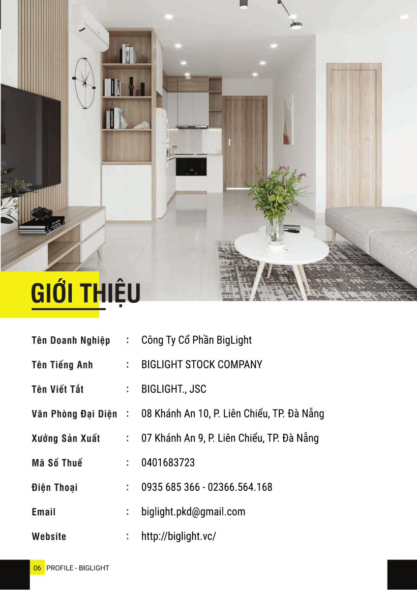 Hồ sơ năng lực Biglight - Trang 06
